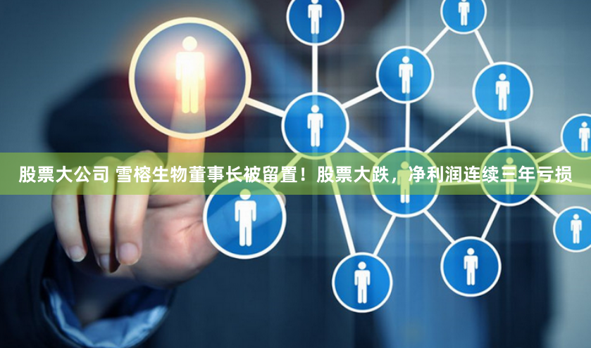 股票大公司 雪榕生物董事长被留置！股票大跌，净利润连续三年亏损