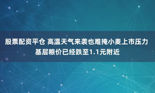 股票配资平仓 高温天气来袭也难掩小麦上市压力 基层粮价已经跌至1.1元附近