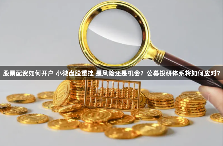 股票配资如何开户 小微盘股重挫 是风险还是机会？公募投研体系将如何应对？