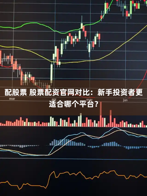 配股票 股票配资官网对比：新手投资者更适合哪个平台？